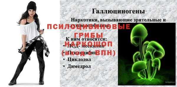 мдпв Арсеньев