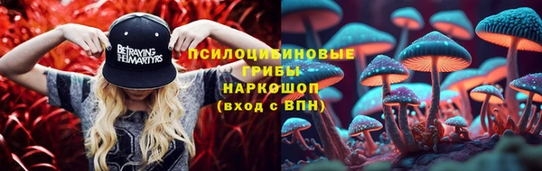 мет Аркадак