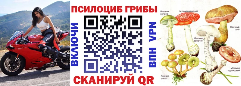Галлюциногенные грибы Cubensis Сорочинск